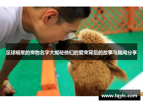 足球明星的宠物名字大揭秘他们的爱宠背后的故事与趣闻分享