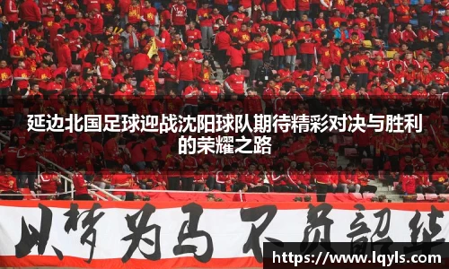 熊猫体育延边北国足球迎战沈阳球队期待精彩对决与胜利的荣耀之路